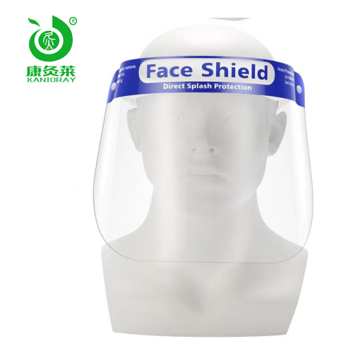 Medical isolation mask