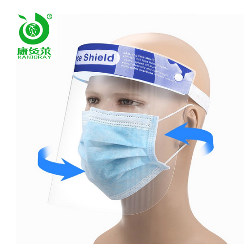 Medical isolation mask