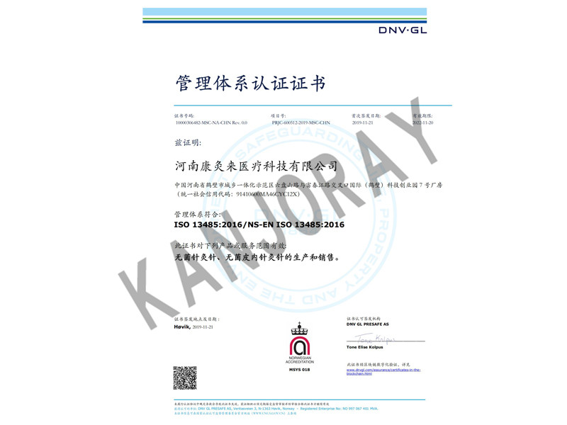 ISO13485 certificate DNV Chinese