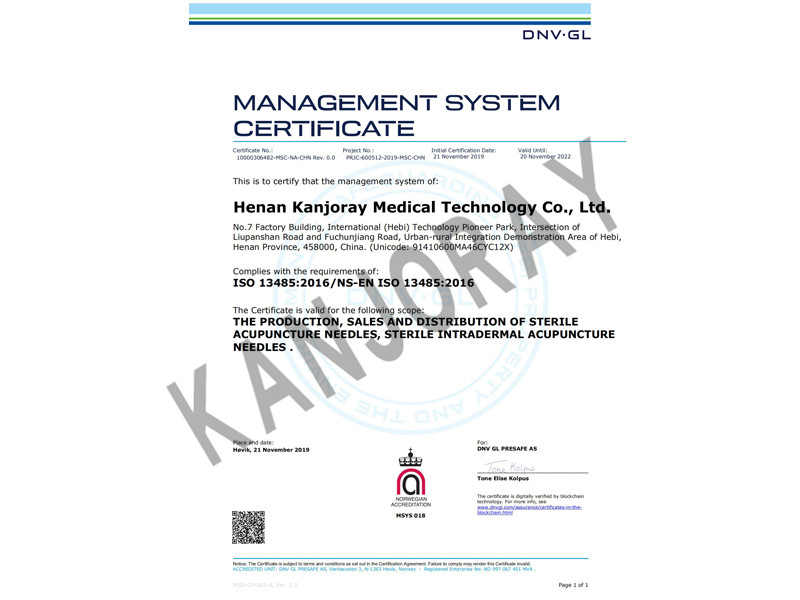 ISO13485 certificate DNV English